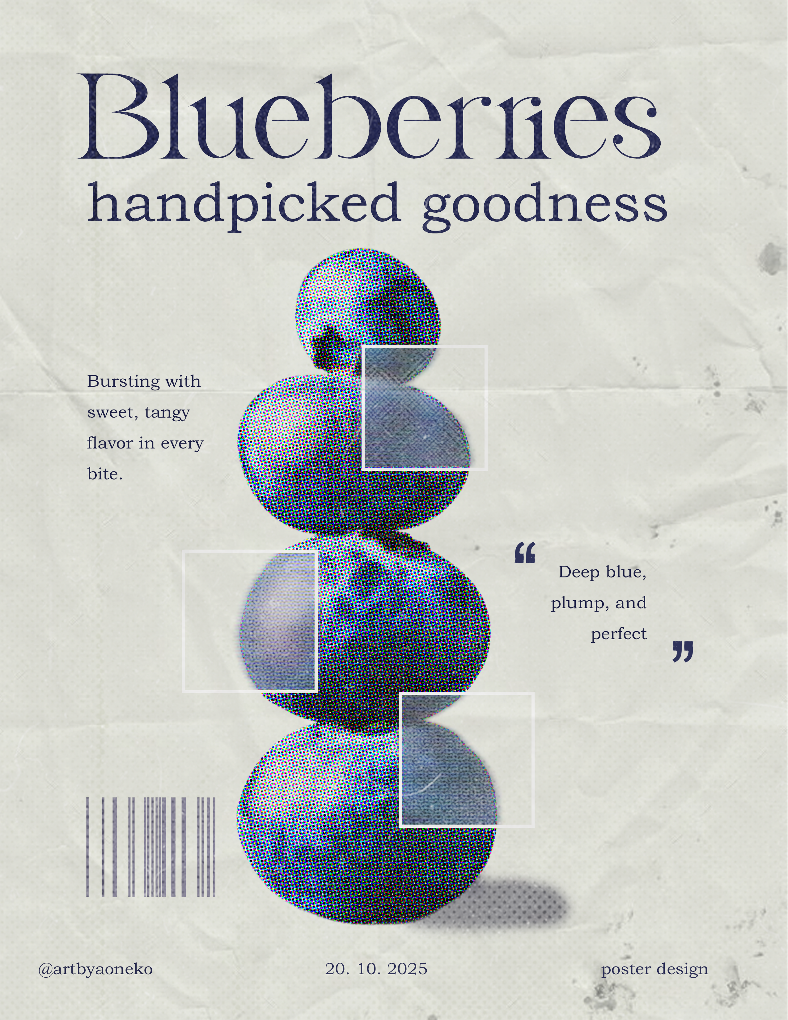 Type Study, Grotesk Variations